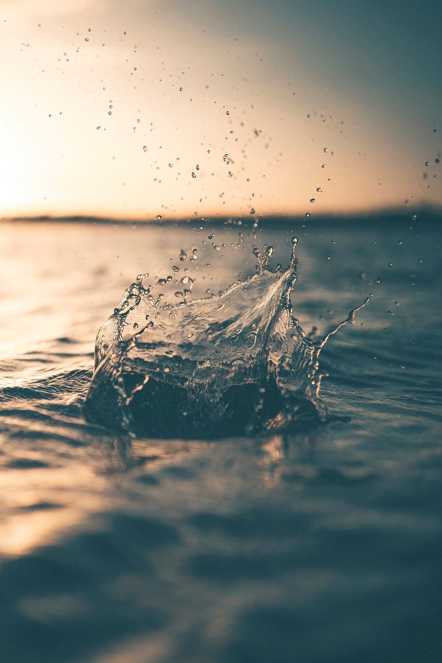 Ein Tag mit Superwater: Erlebnisse und Anwendungen